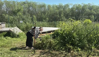 Out back gardening