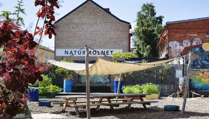 naturmolnet-foto-Bojana-Lukac (4)